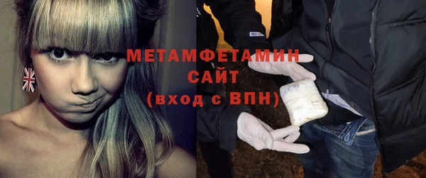 прущие грибы Балабаново