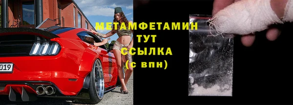 прущие грибы Балабаново