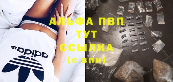 прущие грибы Балабаново