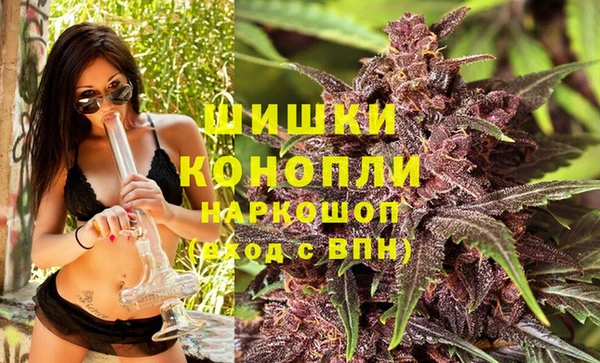 прущие грибы Балабаново