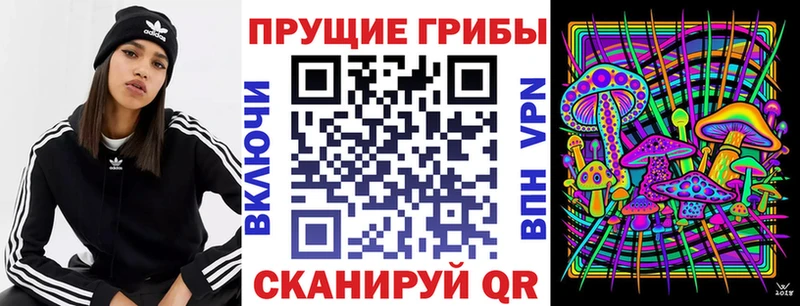 Галлюциногенные грибы Psilocybe  это телеграм  Питкяранта 