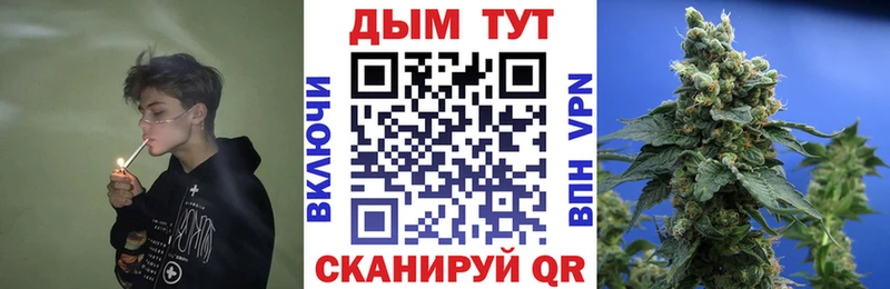 Каннабис THC 21%  shop официальный сайт  Питкяранта 
